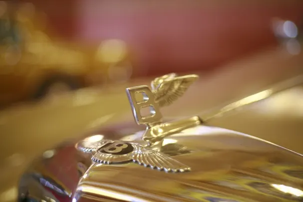 Kasino Bet Winner Android/iOS Sovellus